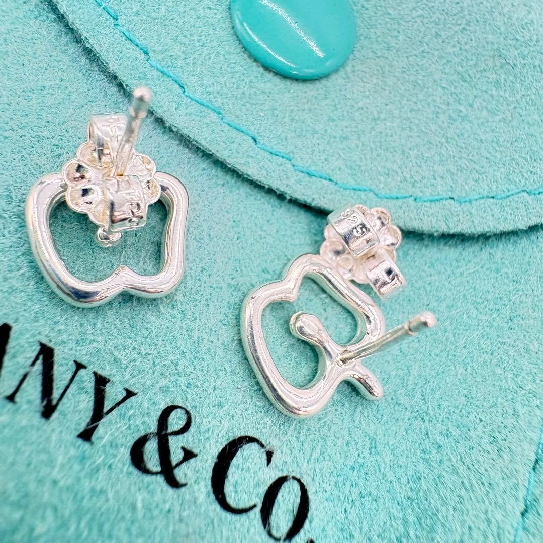 【極美品】ティファニー　アップルモチーフピアス　ミニサイズ　巾着袋セット　552