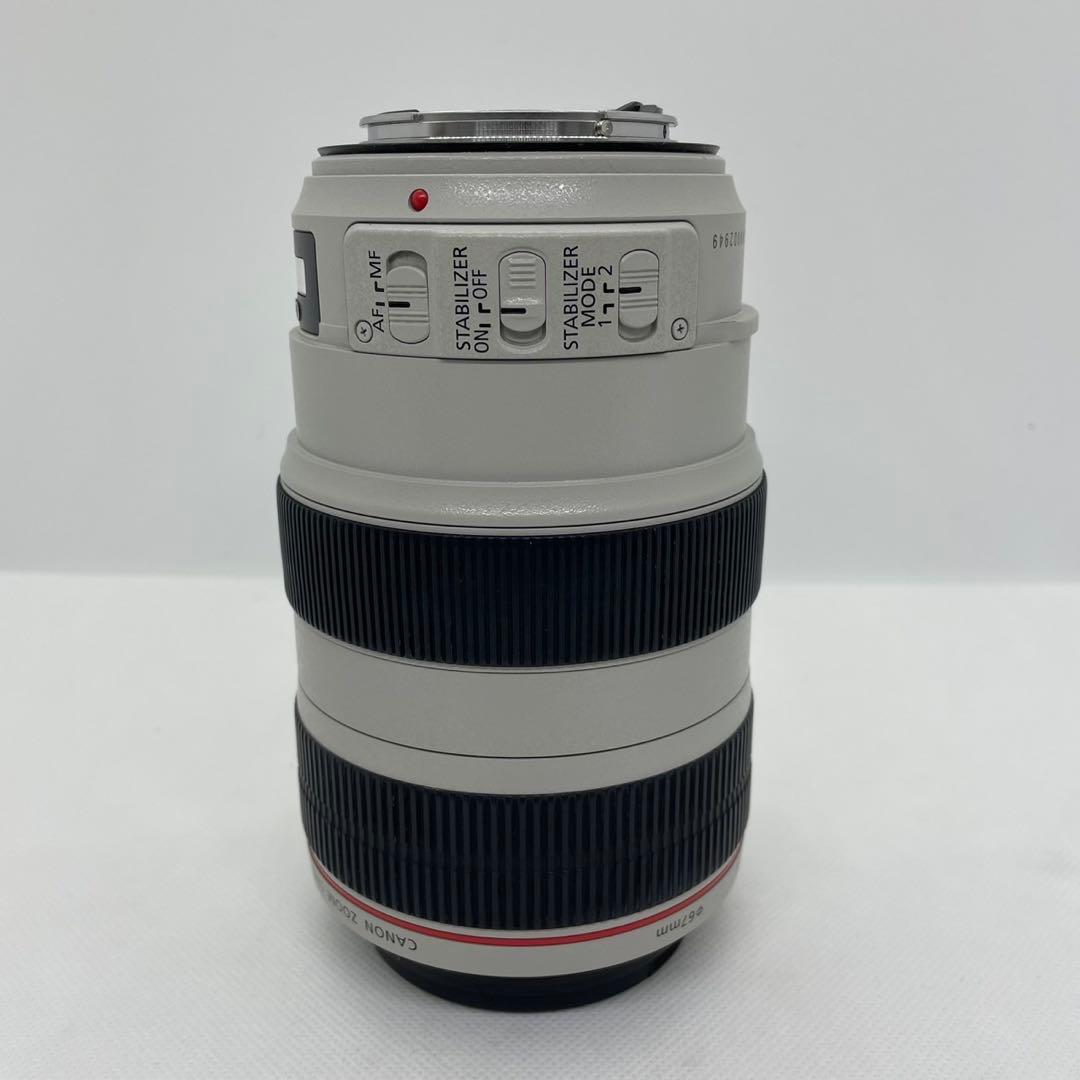 c*o様 Canon EF 70-300mm f/4-5.6 L IS USM