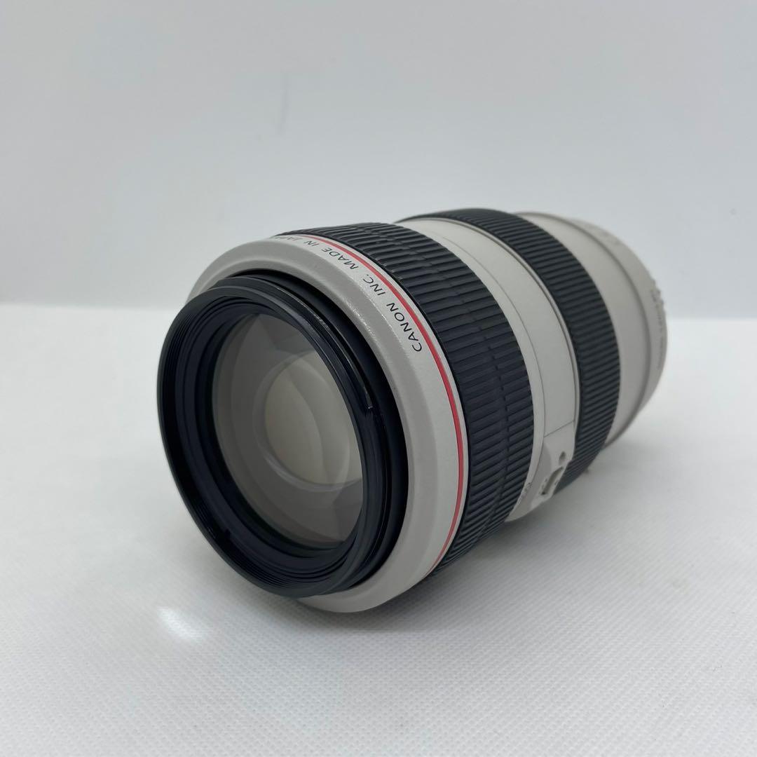 c*o様 Canon EF 70-300mm f/4-5.6 L IS USM