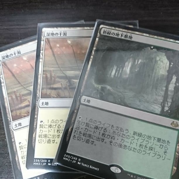 MTG 新緑の地下墓地、湿地の干潟