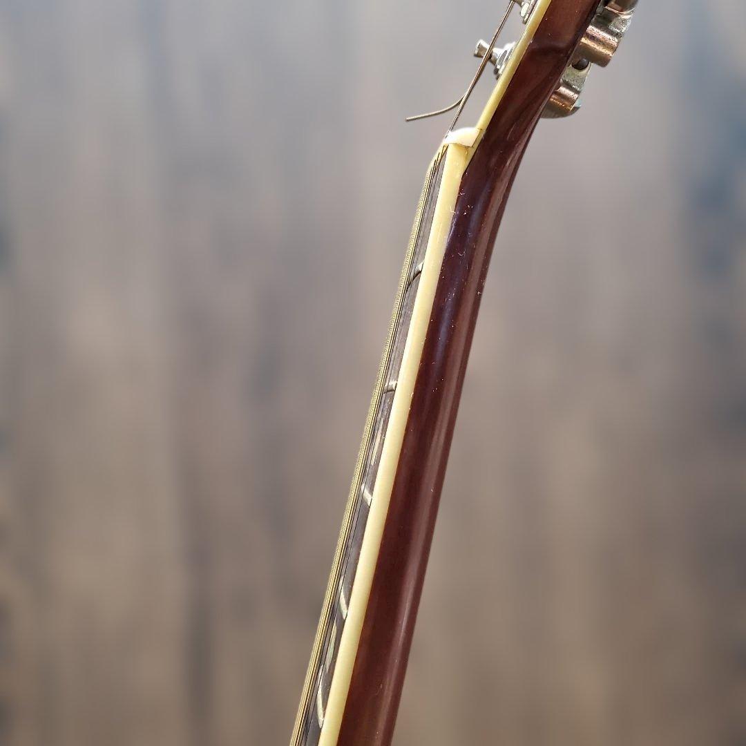 Morris W-40 アコースティックギター