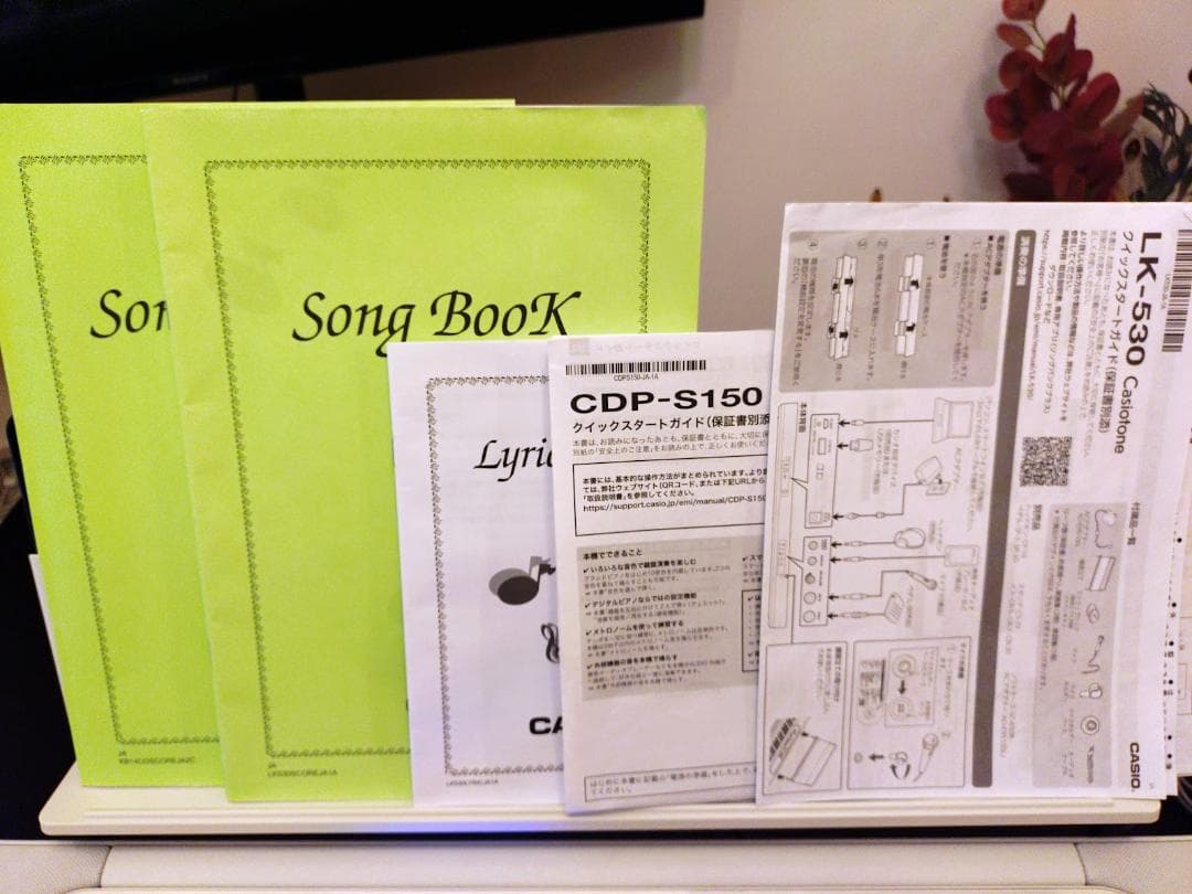 CASIO Casiotone LK-530 キーボード