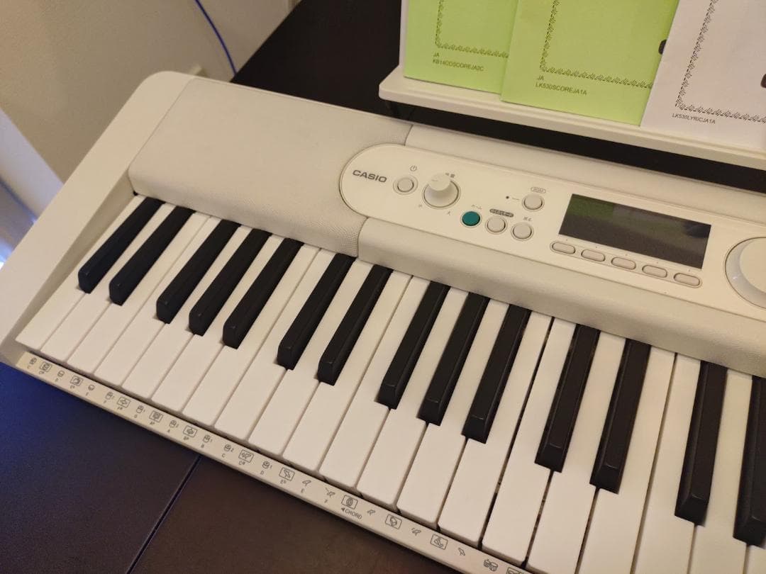 CASIO Casiotone LK-530 キーボード