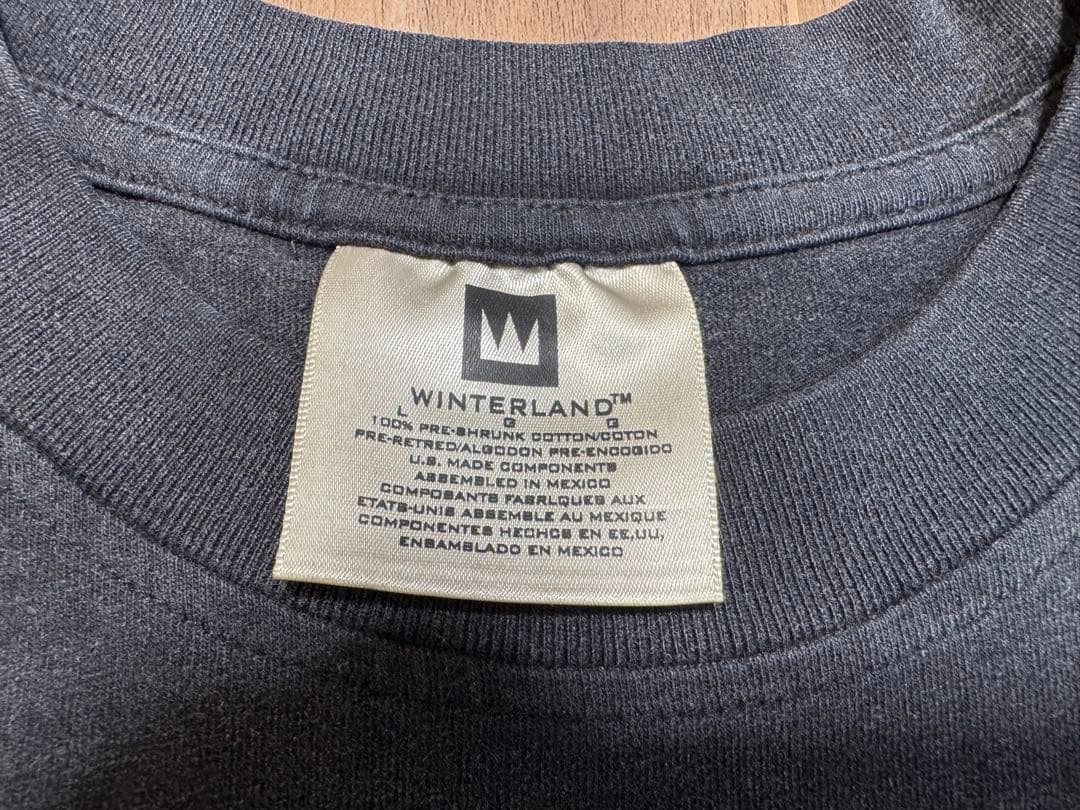 ヴィンテージTシャツ Winterland 両面プリント 黒