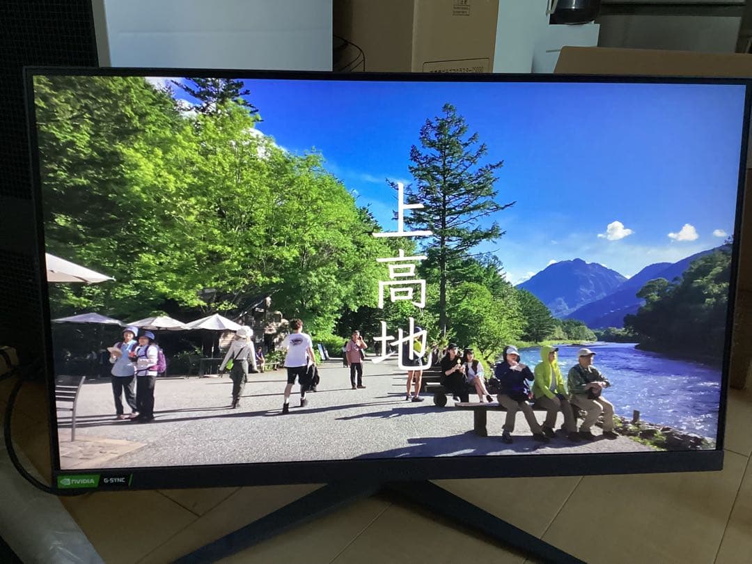 LG ゲーミングモニター 25GR75 24.5インチIPS (24年4月購入)