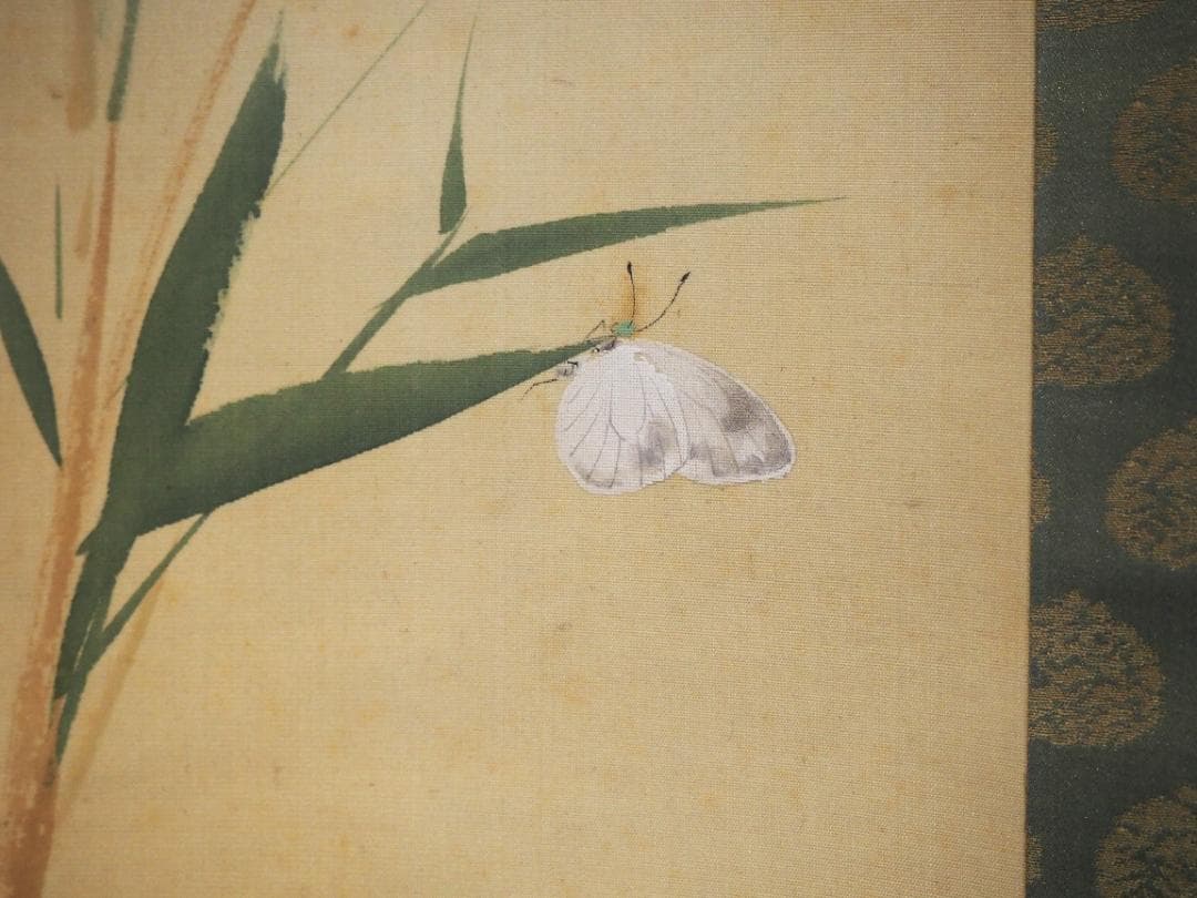 加藤英舟自筆『五月晴』掛軸（共箱）