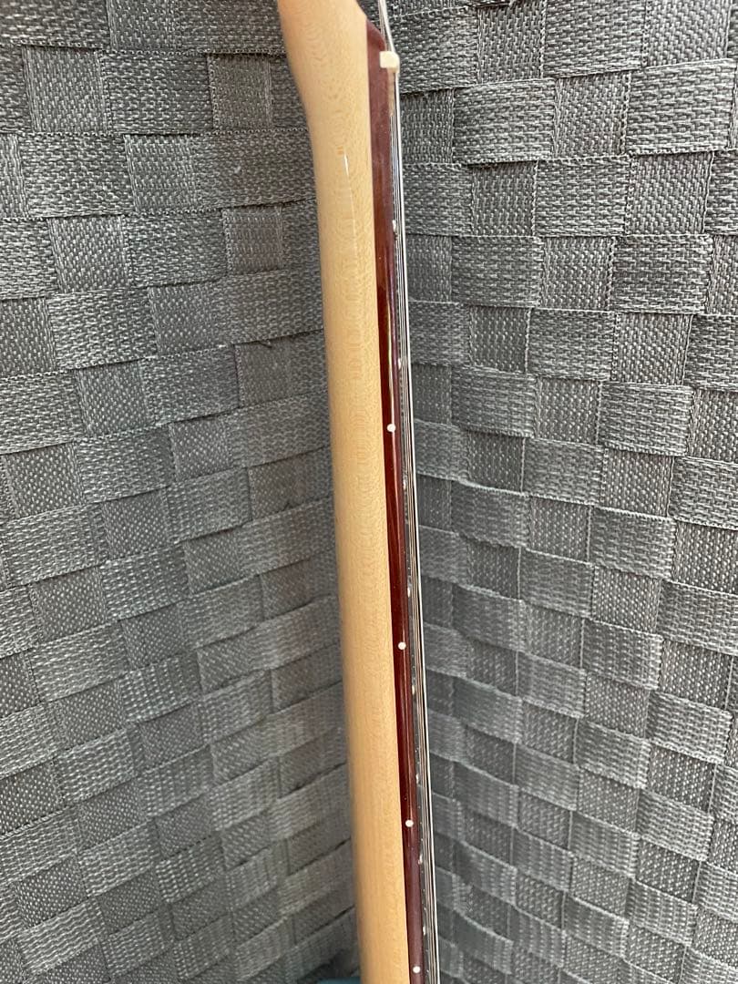 【ほぼ未使用品】SELDER TLT20セルダー エレキギター シンラインタイプ