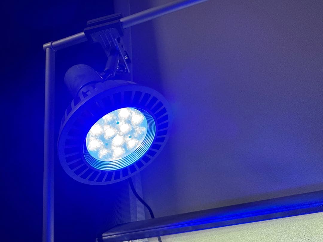 2個セット　ボルクスジャパン　グラッシーレディオ　RX122DP