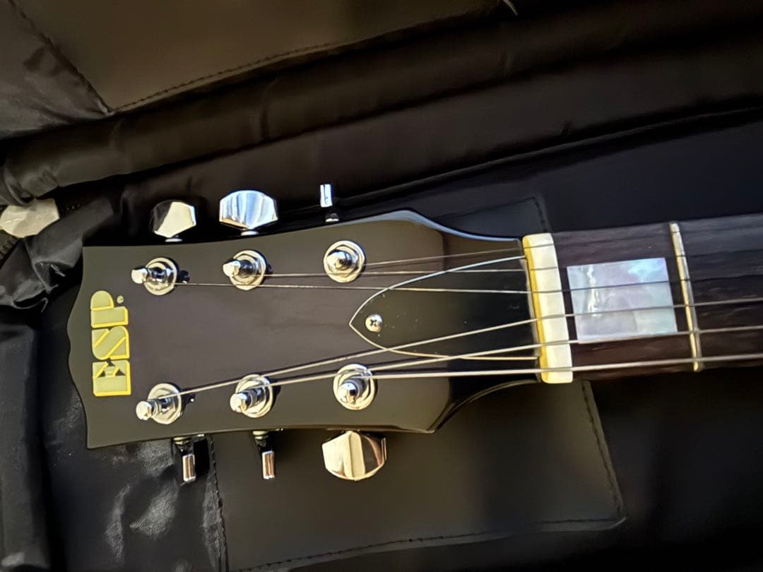 ESP カスタムオーダー　レスポールエレキギター