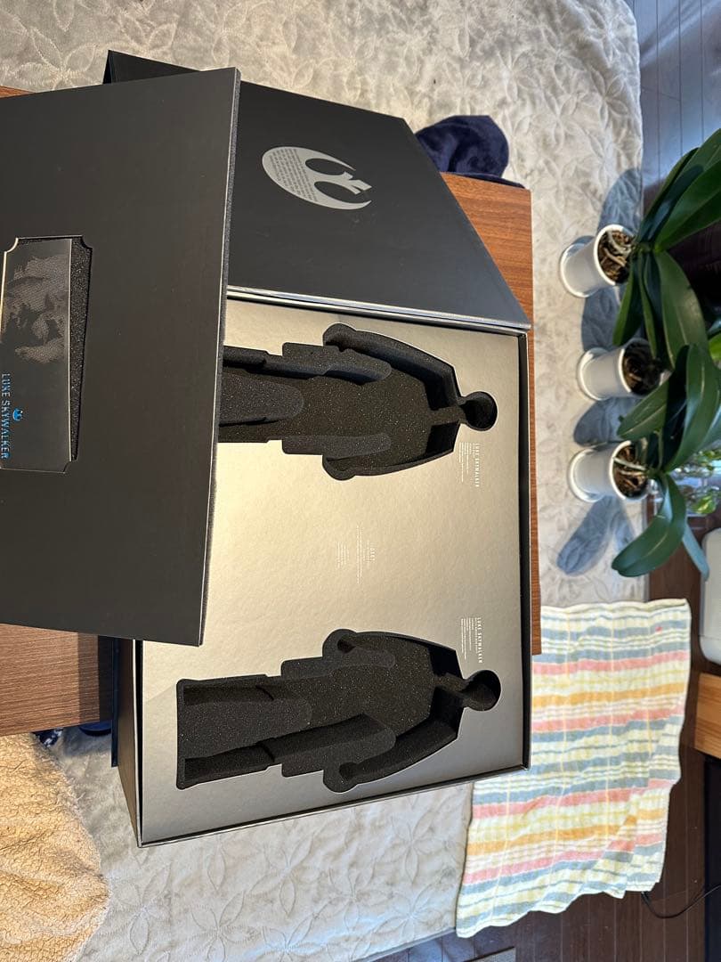 【美品】ルーク・スカイウォーカー ベスピン版 スペシャルエディション