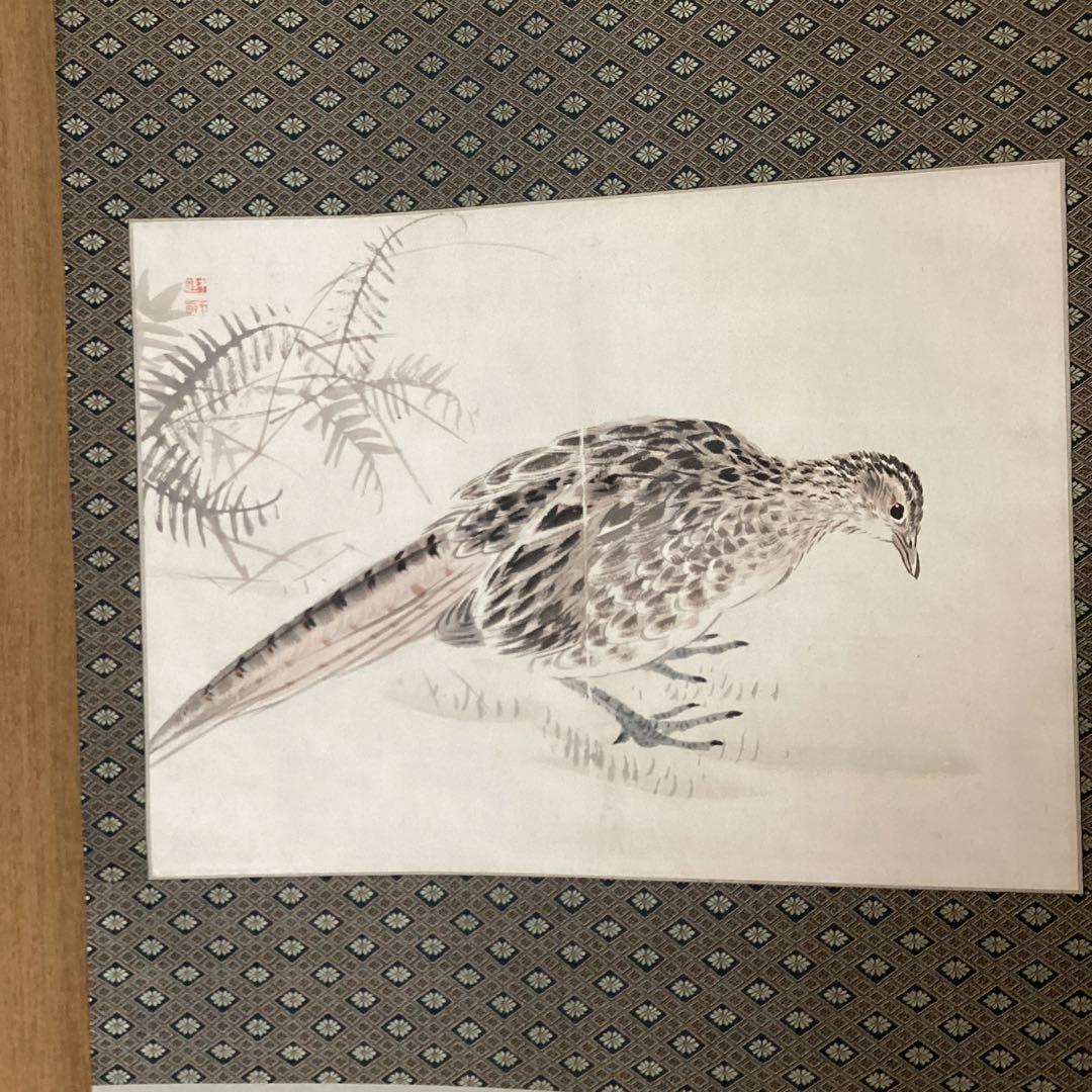 紙本彩色画掛軸一幅《秋野雉子図》軸先陶器軸　肉筆画　荒木十畆　落款在模写　184