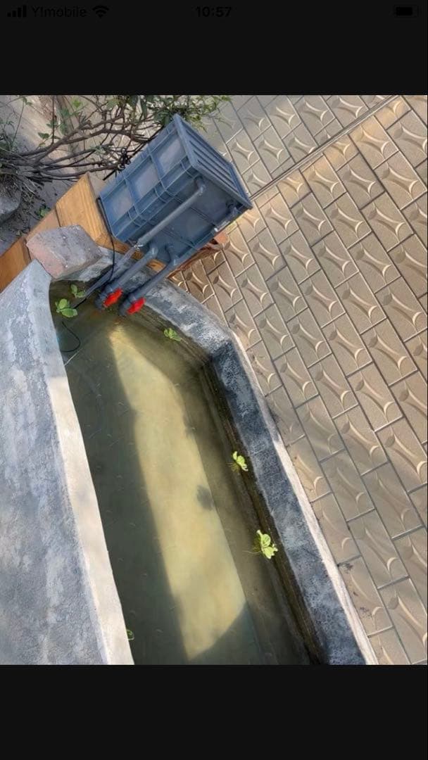 ポンプつき池フィルター万能濾過装置 池フィルター最高濾過装置大)当日発送送料込み