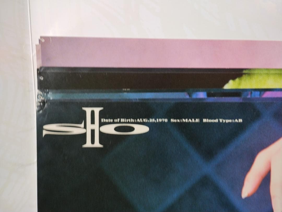 BY-SEXUAL カレンダー パンフレット セット バイセク