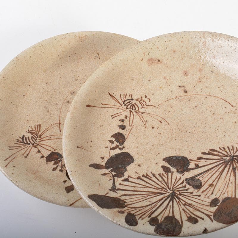 絵瀬戸　古瀬戸　菊文　小皿　豆皿　5客　時代箱　D　R6765