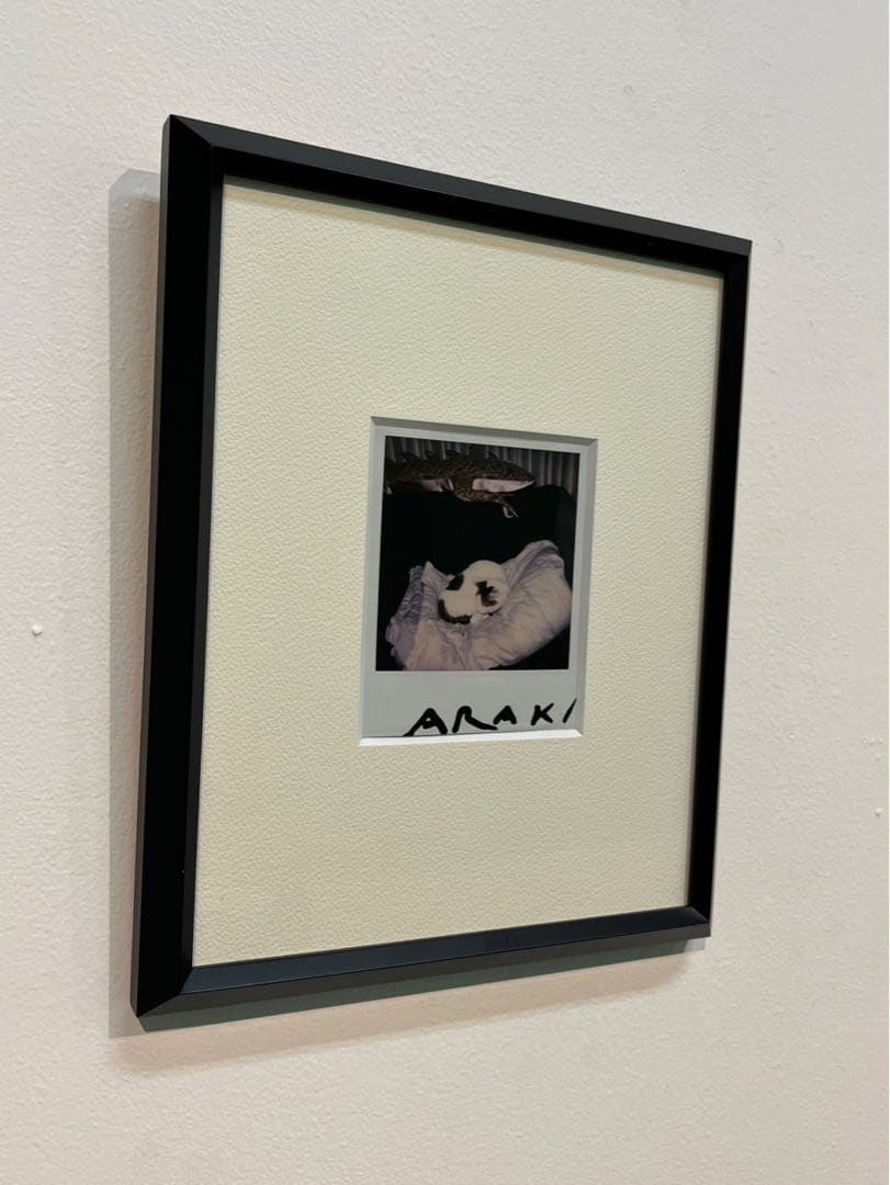 荒木経惟 ポラロイド写真 ヌード サイン入