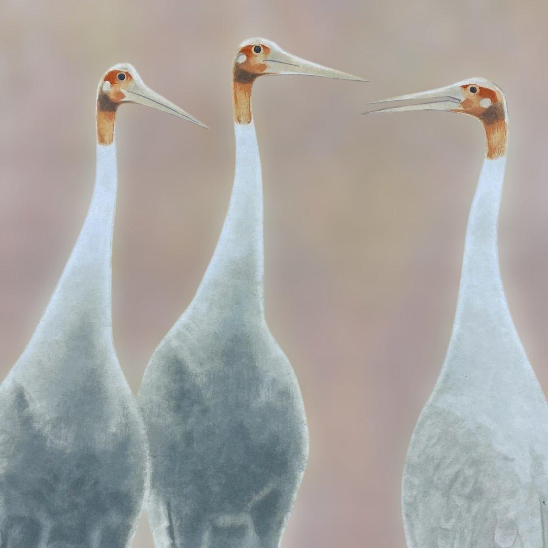 美品 掛け軸 山口華陽作「鶴」太巻き付 縁起物 正月掛け