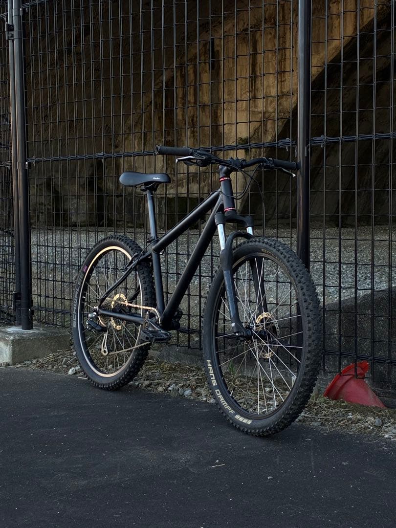 ルイガノファイブ マウンテンバイク 26インチ