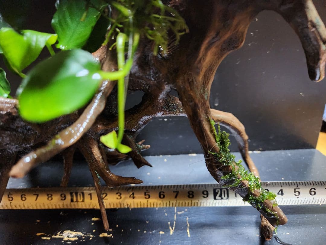 商談中ページになります。