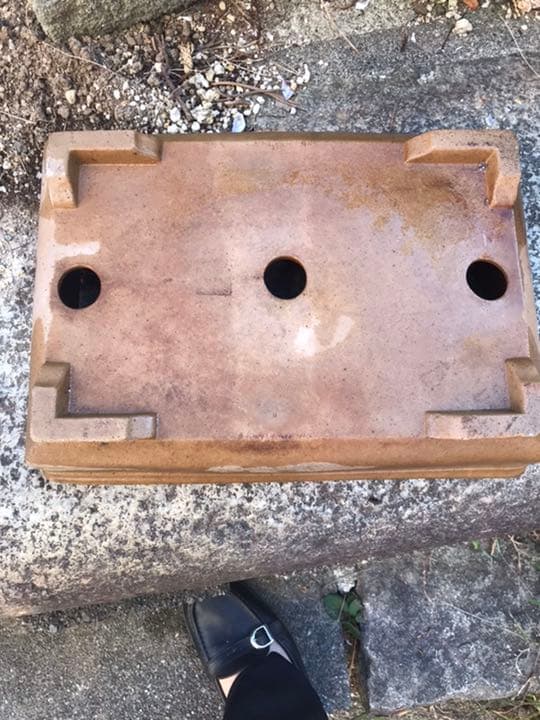 盆栽鉢　④時代銭号長方盆栽鉢黄銅色烏泥