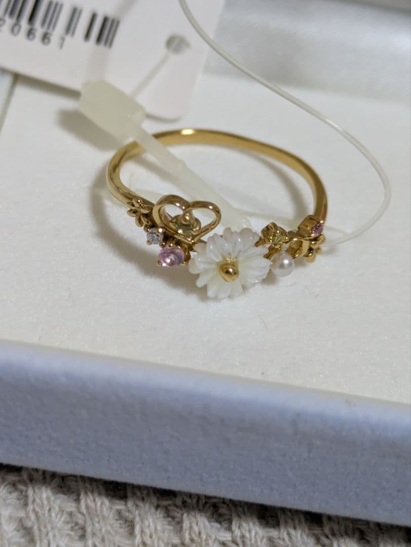 ✳️✳️lapinᙏ̤̫ ⋆*ページ