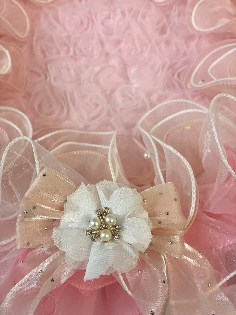 カフェマット　5点 akko様ご注文商品