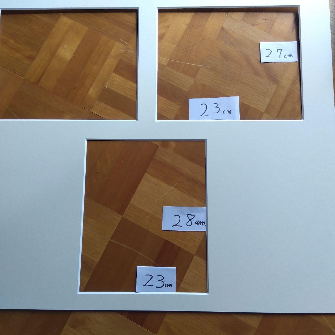 FUJIFILM写真展示用フレーム 全紙２ 　全紙3枚組２　 半切２　4切