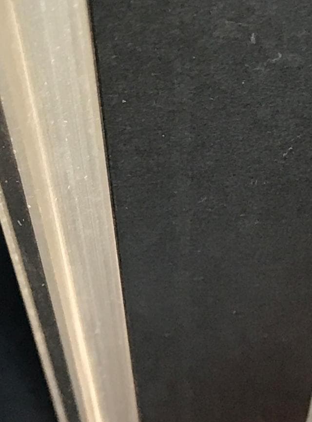 ☆ZARD坂井泉水「短冊ポスター」