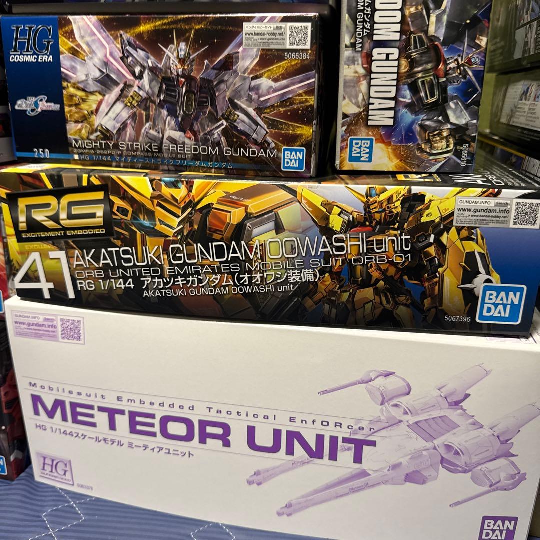 HG RG ガンプラセット ガンプラ 引退品 まとめ売り
