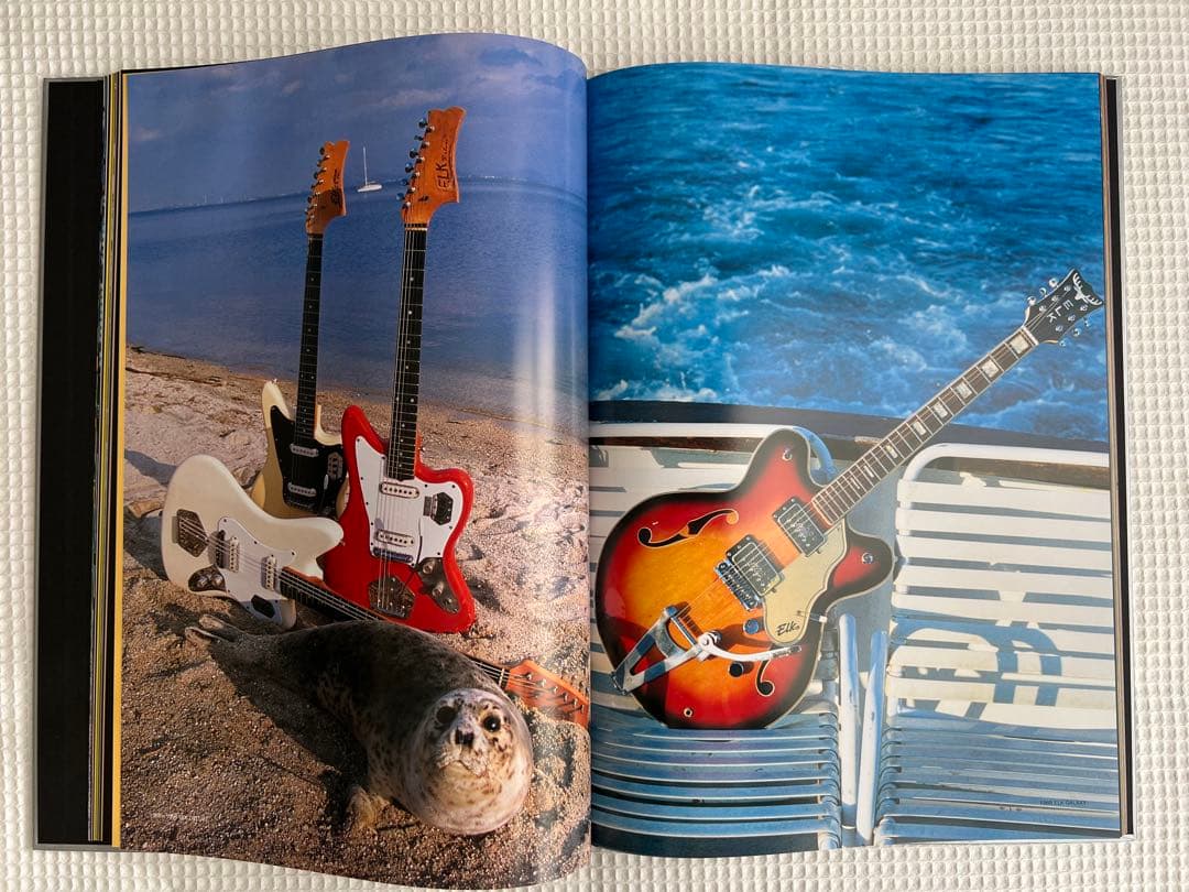 The Electric Guitar Collection ビザール エレキ