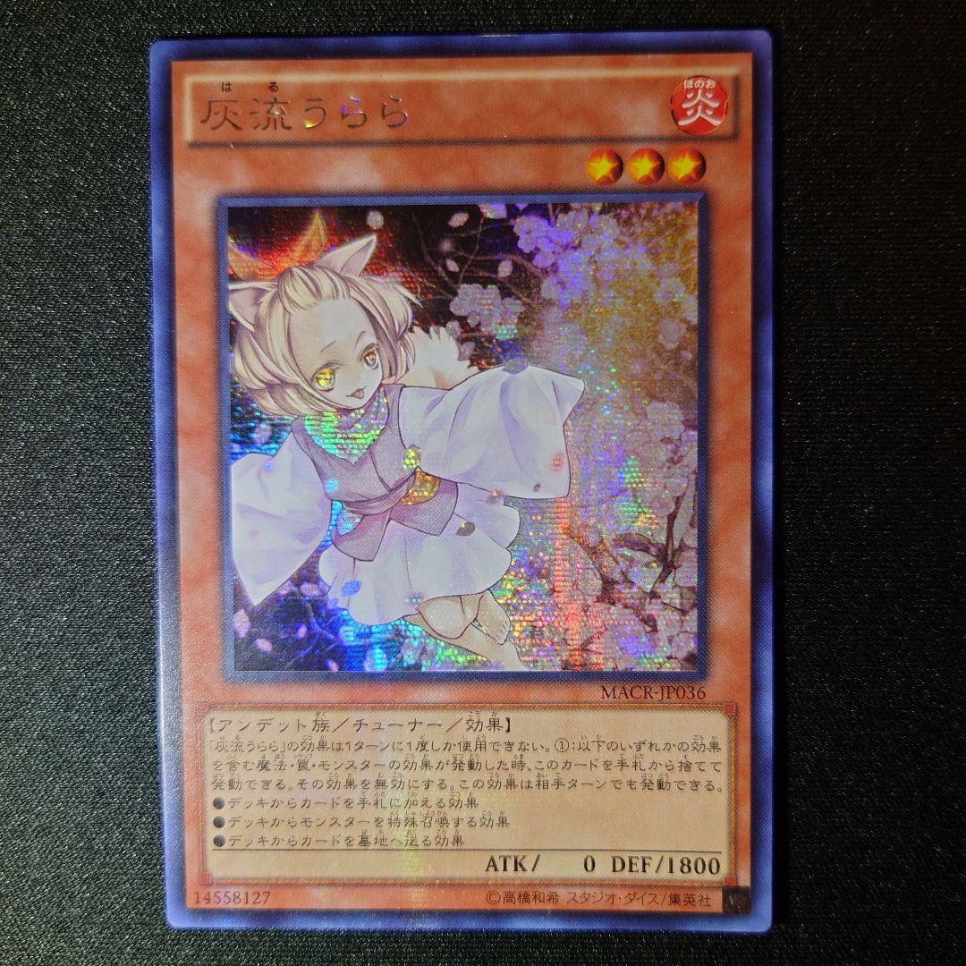 灰流うらら MACR アジアシク