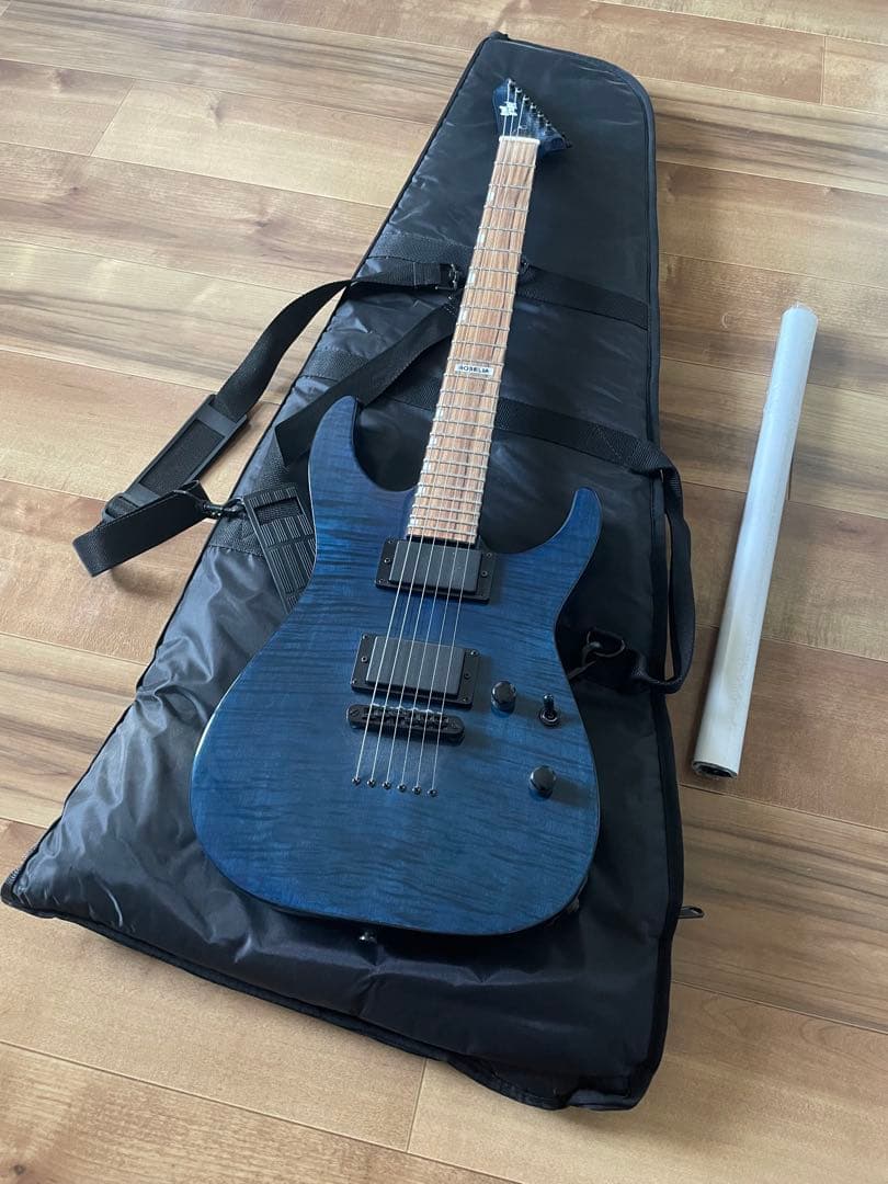 Bang Dream! M-Ⅱ SAYO ポスター付 Roselia 氷川紗夜