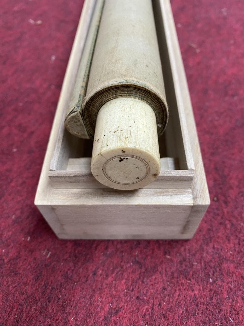 酒井抱祝 白木蓮図 江戸琳派最後の画家 酒井道一の息子 掛軸24120720