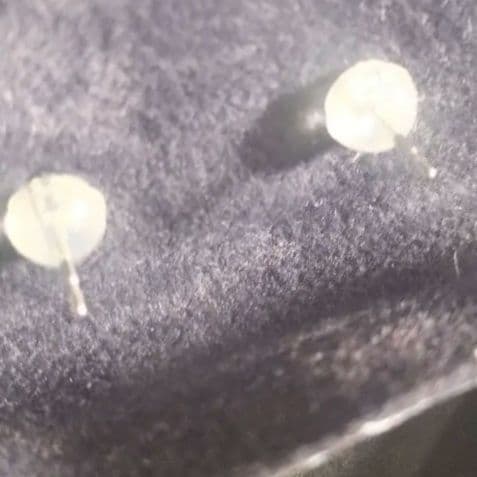 か*お様 0.01カラットダイアモンドスタッドピアス