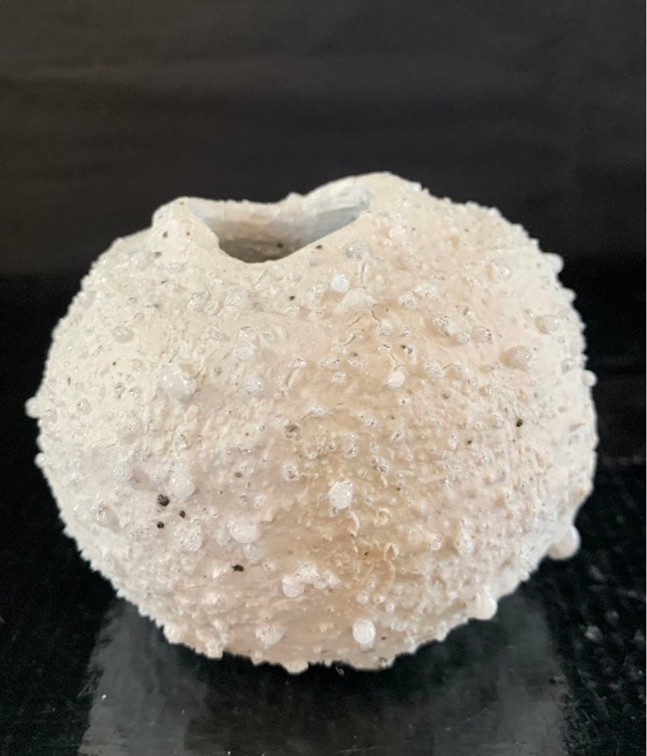 辻村史朗　白信楽小壺　B