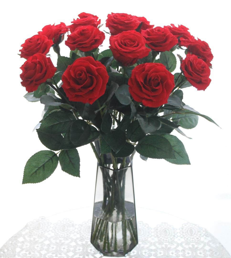 マジカルウォーター A液（1㎏） B液 （1㎏）2㎏セット