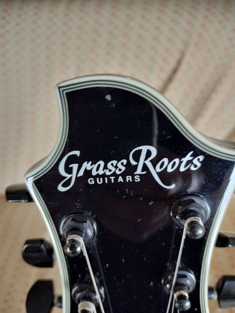 GrassRoots SUGIZO モデル  【改造あり】