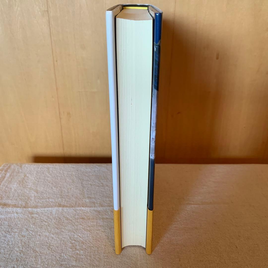 キリストのヨーガ M.イーザイ著