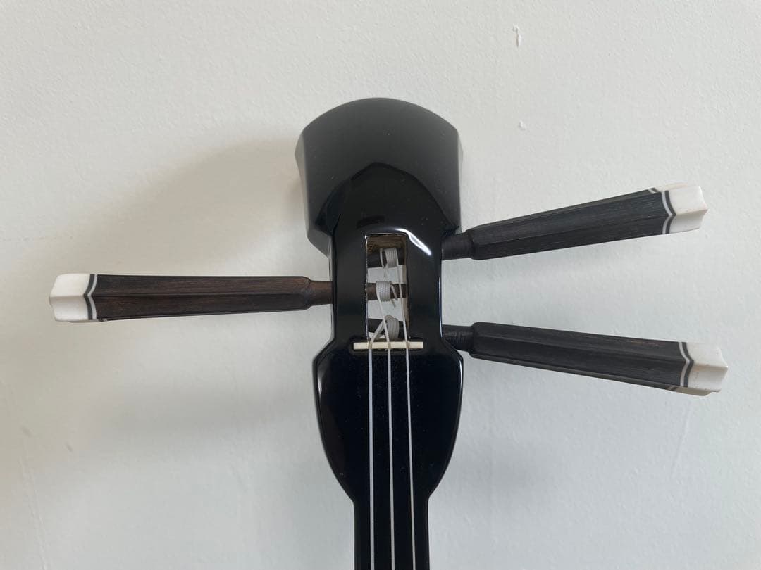 【本蛇革】三線&入門本2冊