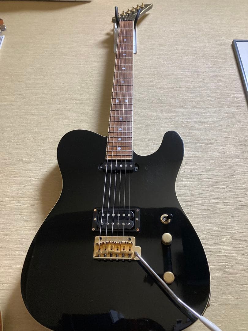 ギター Fernandes TEJ-55G