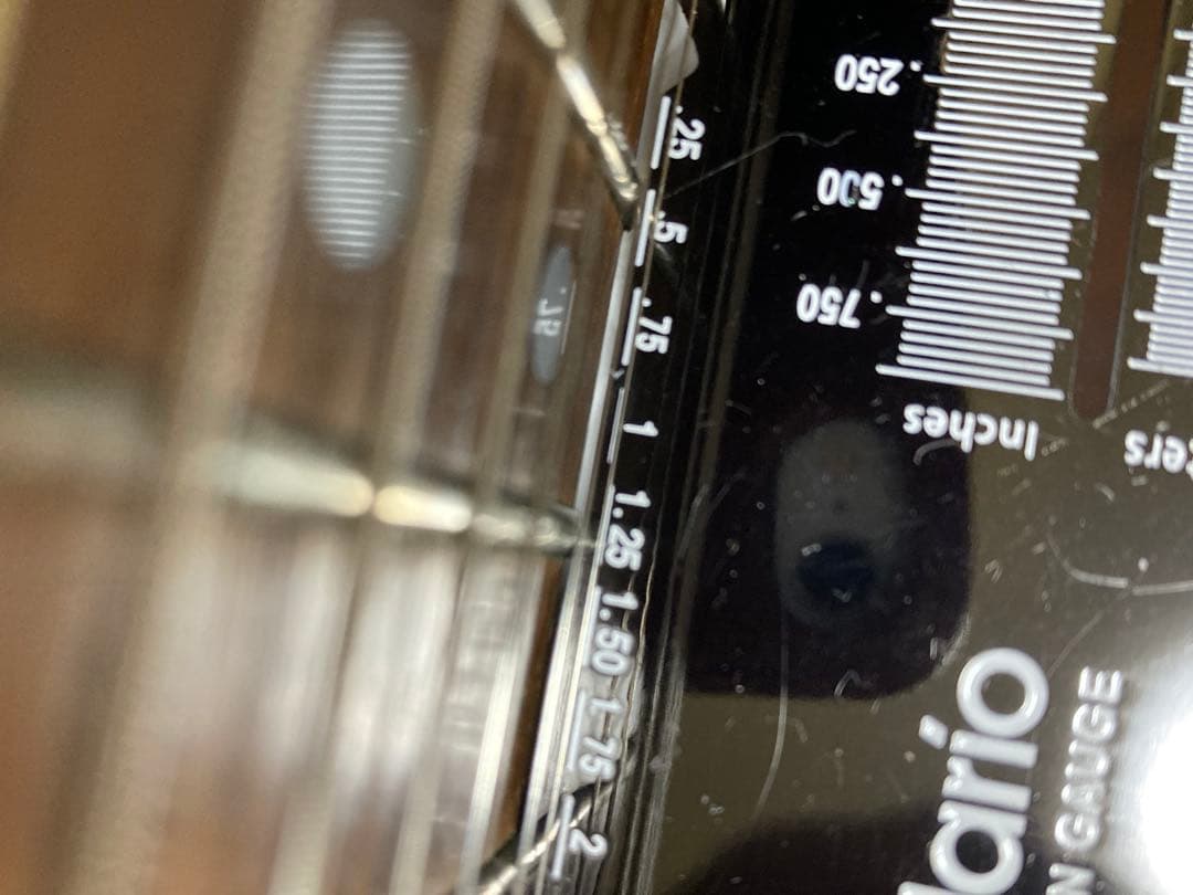 ギター Fernandes TEJ-55G