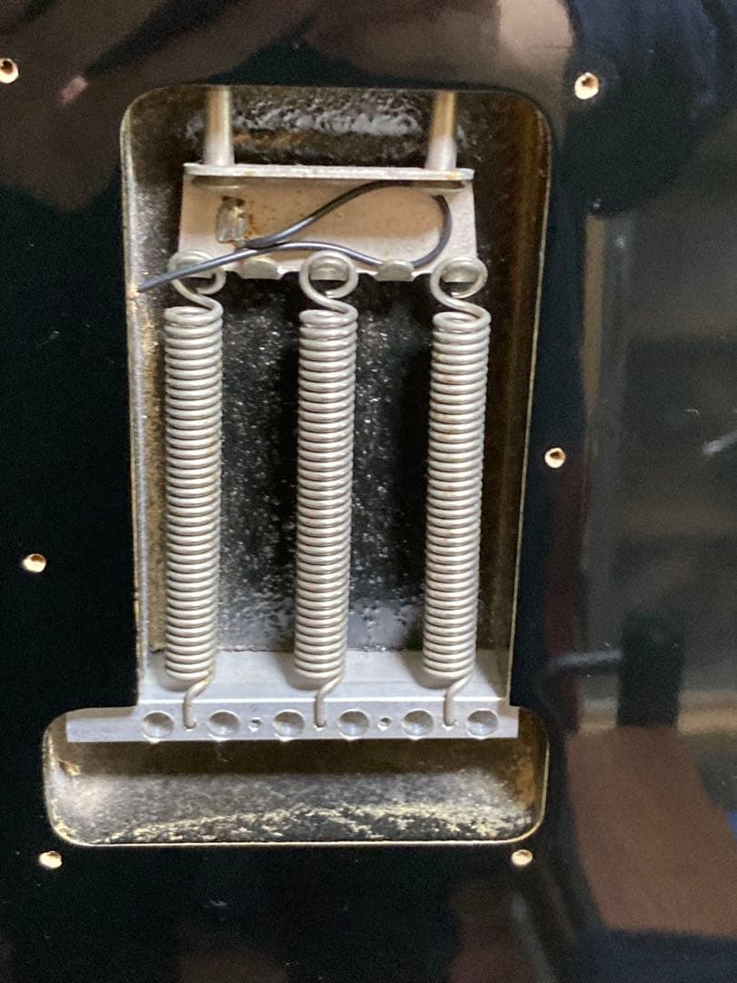 ギター Fernandes TEJ-55G