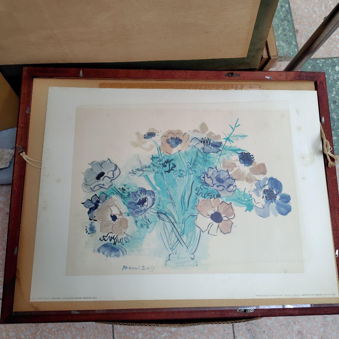 アネモネ　デュフ