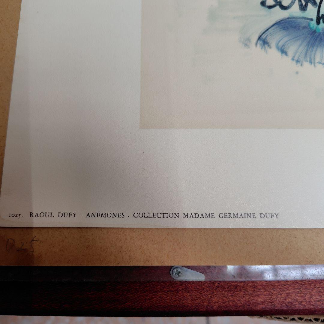 アネモネ　デュフ