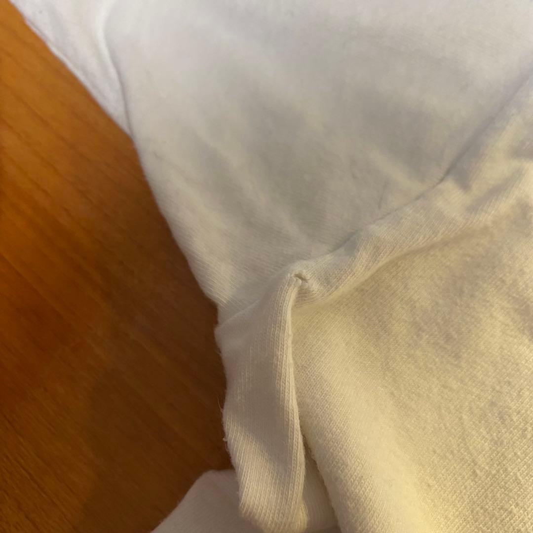 激レア 人気デザイン 90s らんま1/2 tシャツ ヴィンテージ Hanes