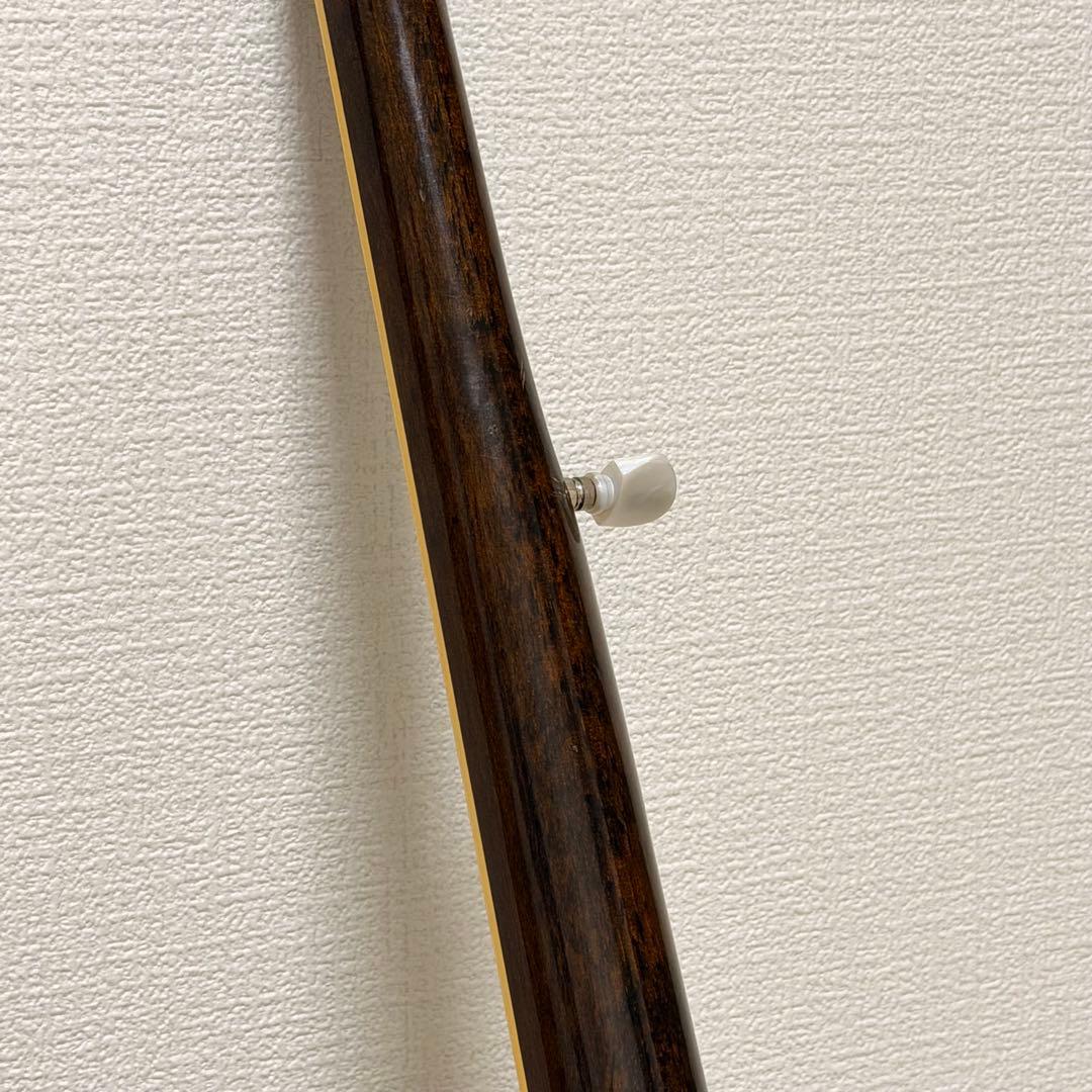 【良品✨】TENESY バンジョー　５弦　BANJO