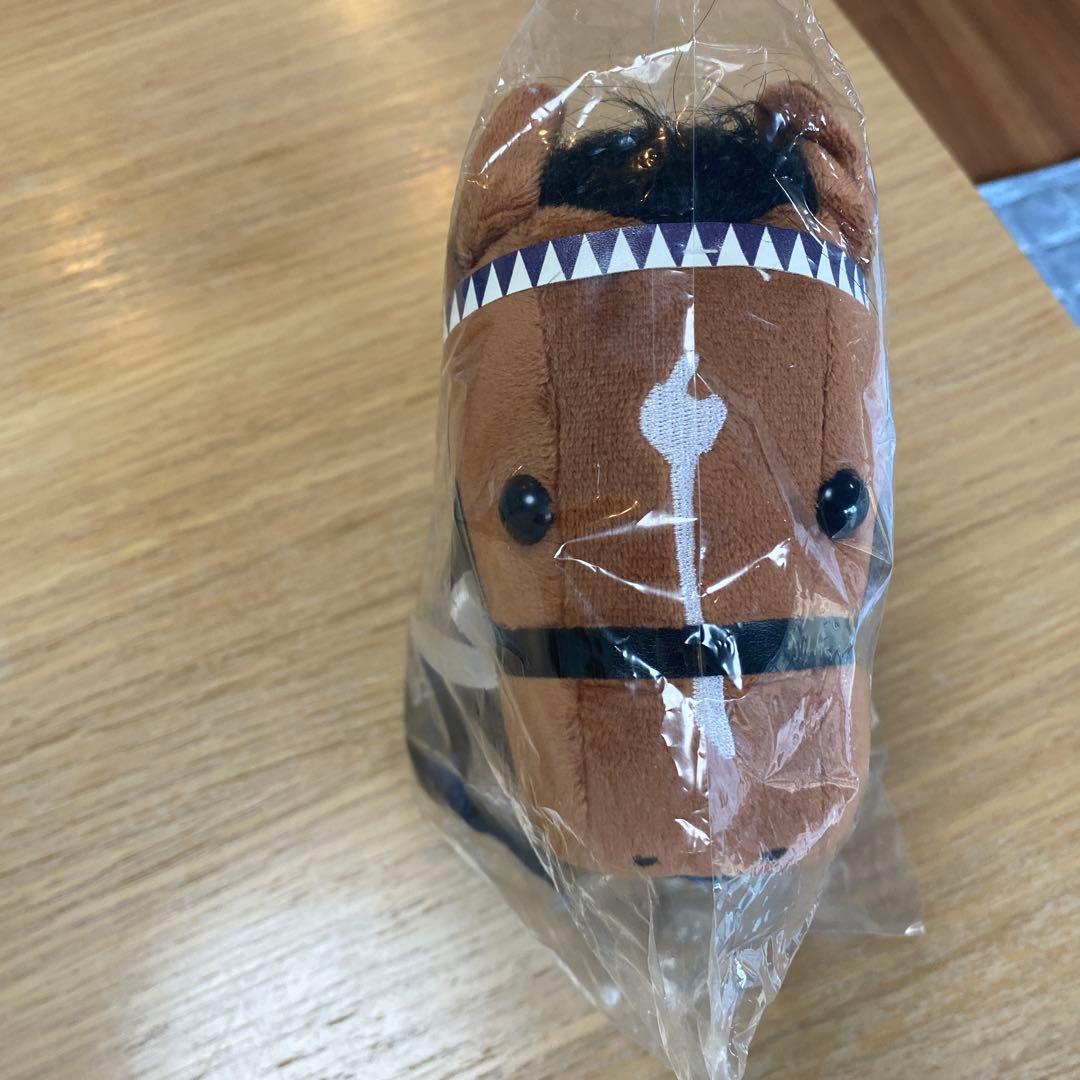 ジャパンカップ ウェルカムチャンス ドウデュース アイドルホース 特別賞