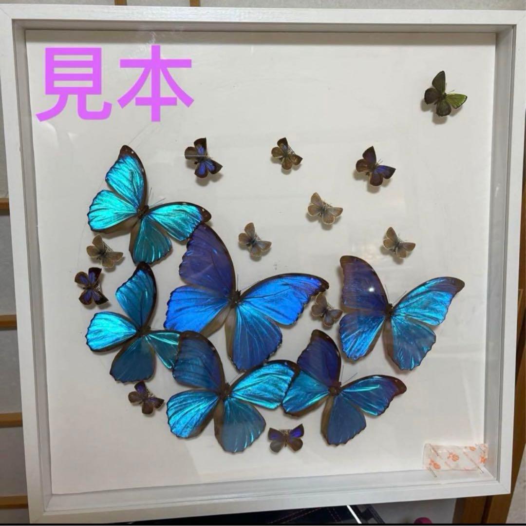 新品 額縁 木製 立体額 アートボックス フレーム ボックスフレーム 2個