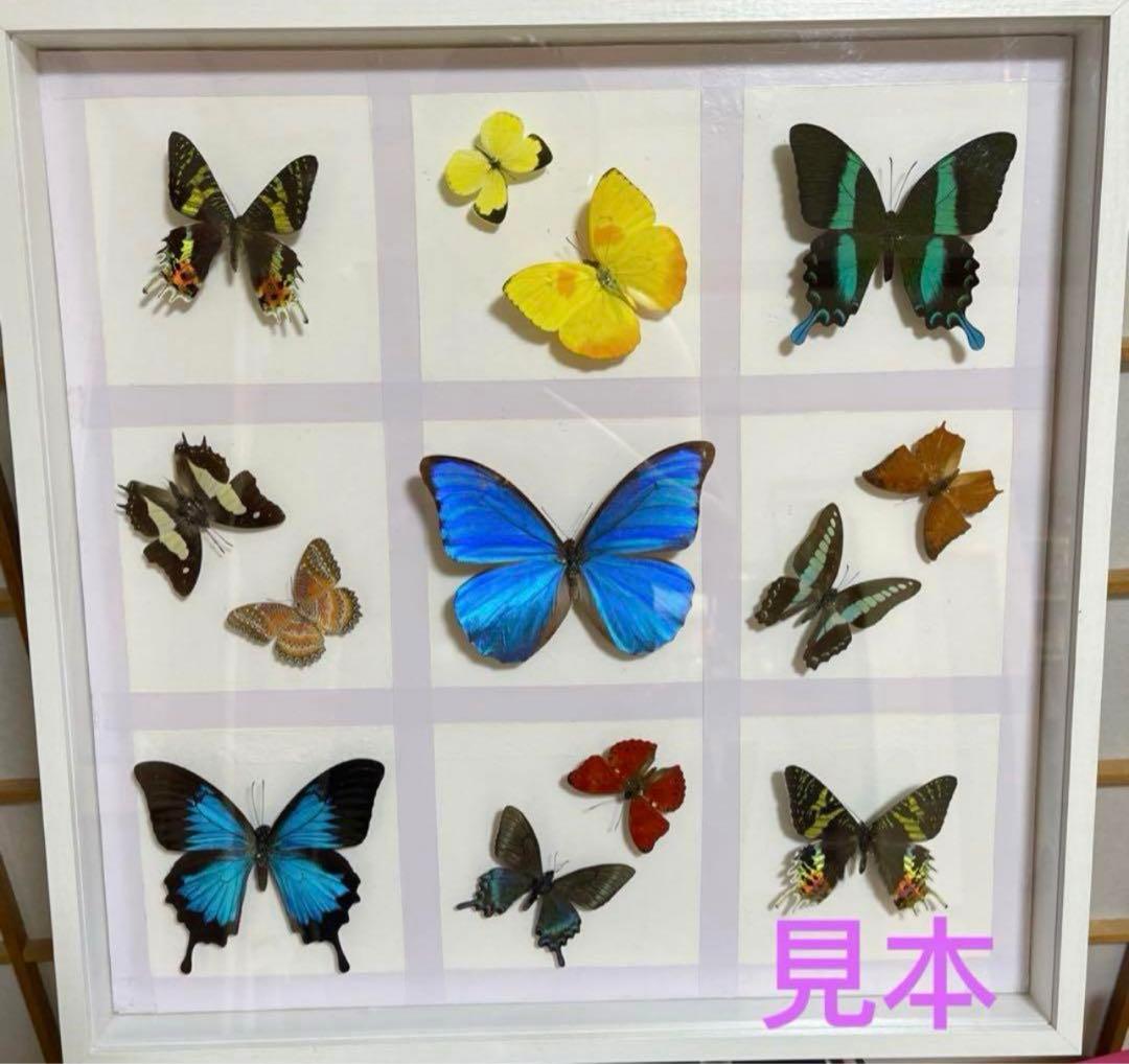 新品 額縁 木製 立体額 アートボックス フレーム ボックスフレーム 2個