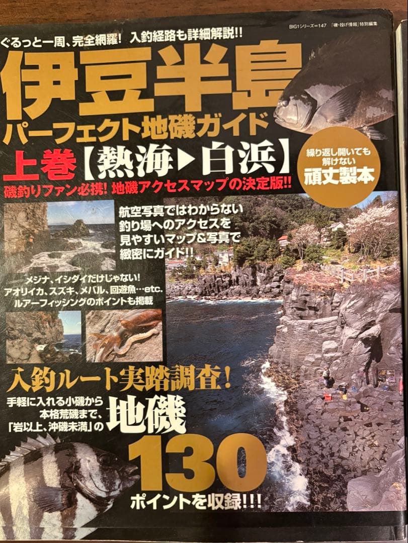 地磯ガイド　伊豆半島　上下巻　絶版
