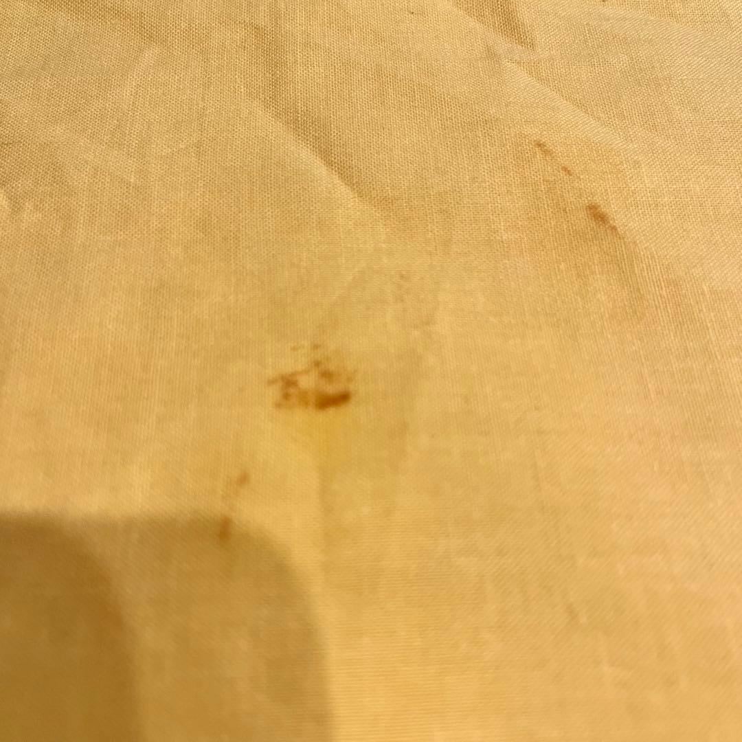 【美品】　京焼　橋本城岳作　仁清写　葡萄絵　抹茶椀　共箱、栞付き　茶道具